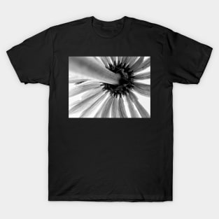 Looking Up Black and White T-Shirt